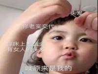 湖北卓昶科技有限公司