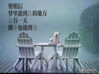 湖北卓昶科技有限公司