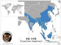 湖北卓昶科技有限公司