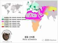 湖北卓昶科技有限公司