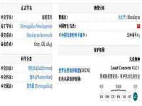湖北卓昶科技有限公司