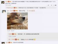 湖北卓昶科技有限公司