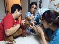 湖北卓昶科技有限公司