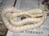 湖北卓昶科技有限公司