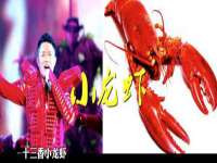 湖北卓昶科技有限公司